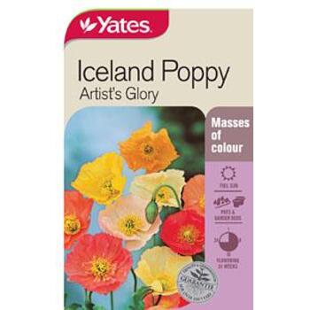 Yates Poppy Iceland Artists Glory