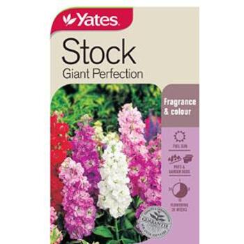 Yates Stock Giant Perfection