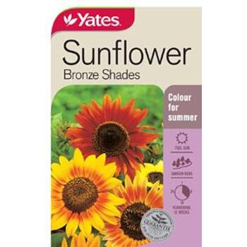 Yates Sunflower Bronze Shades