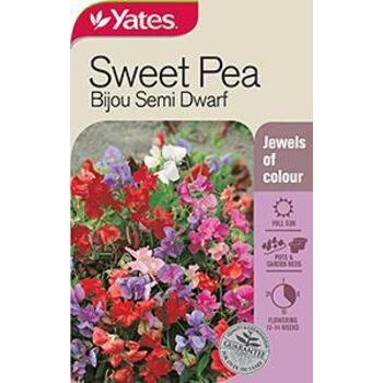 Yates Sweetpea Bijou Semi Dwarf C Seeds