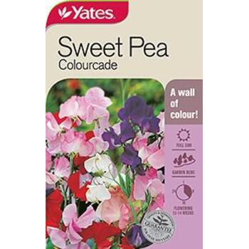 Yates Sweetpea Colourcade C Seeds