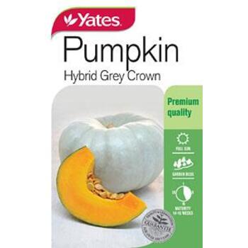 Yates Pumpkin Sweet Grey Seeds