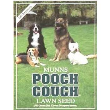 Lawn Seed Pooch Couch 500g