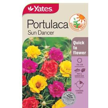 Yates Seed Portulaca Sundancer