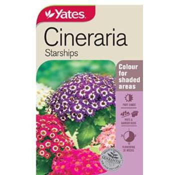 Yates Cineraria Starships