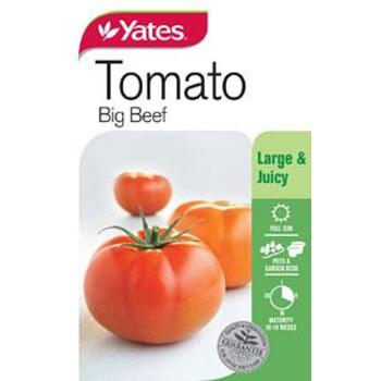 Yates Tomato Big Beef C Seeds