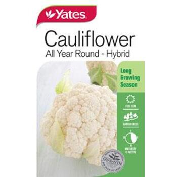 Cauliflower Ayr Hybrid Seeds Yates