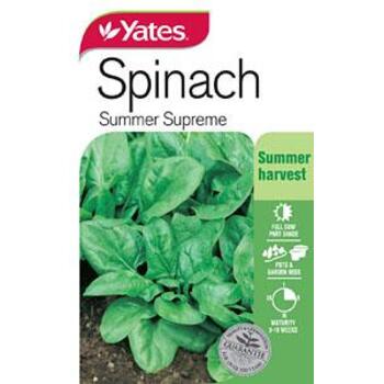 Yates Spinach Summer Supreme B Seeds