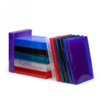 Document File Avery 25Mm Translucent Clear