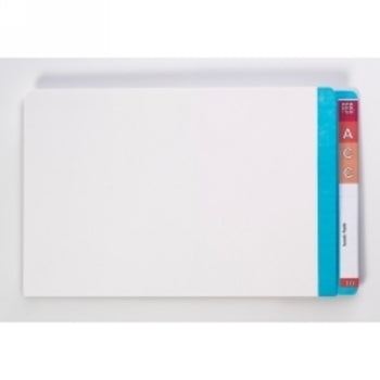 Sp- File Lateral Avery 367X242Mm White Shelf With Lt Blue Mylar Tab Pk100