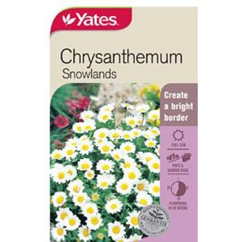 Yates Seed Chrysanthemum Snowland