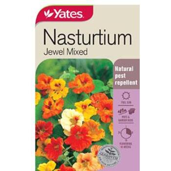 Yates Seed Nasturtium Jewel Mixed