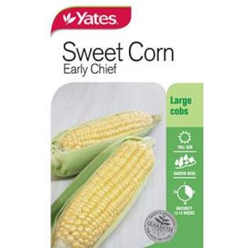 Yates Corn Sweet Early Chief D Seeds