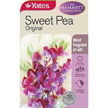 Yates Sweetpea Original B Seeds