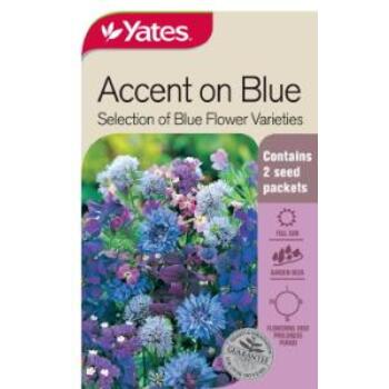 Yates Seed Accent On Blue