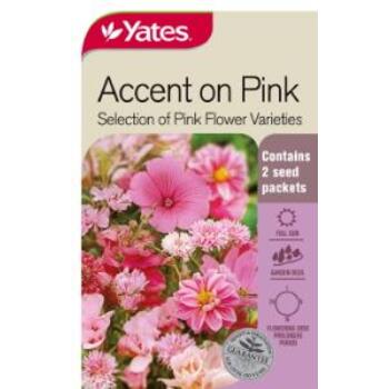 Yates Accent On Pink Seeds