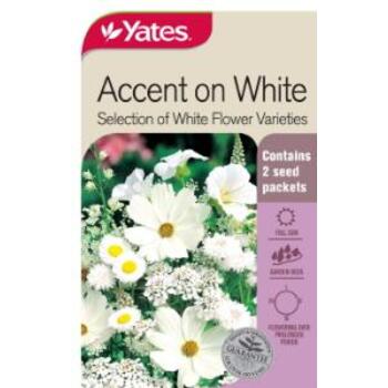 Yates Seed Accent On White