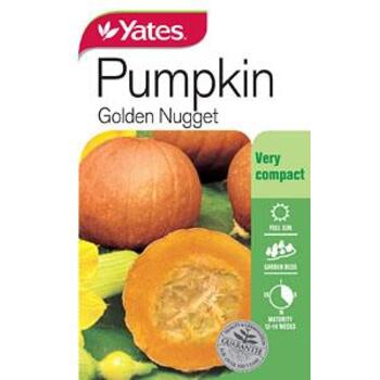 Yates Pumpkin Golden Nugget Seeds