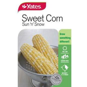 Yates Sweet Corn Sun and Snow Seeds