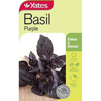 Yates Basil Purple Seeds