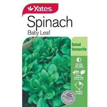 Yates Spinach Baby Leaf B Seeds