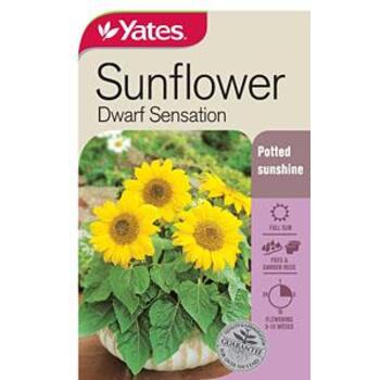 Yates Sunflower Dwarf Sensation Code