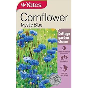 Yates Seed Corn Blue Centaurea Cyanus