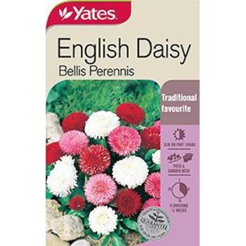 Yates Daisy English A Seeds