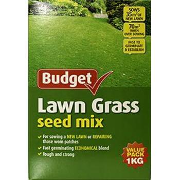 Seed Lawn Budget 1kg