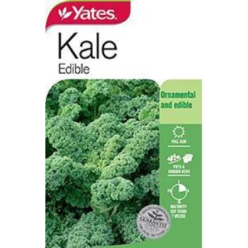 Yates Kale Edible Seeds