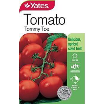 Yates Tomato Tommytoe Seeds