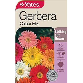 Yates Seed Gerbera Colour Mix