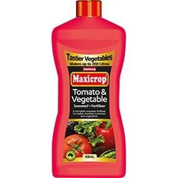 Tomato & Vegetable Concentrate 600ml