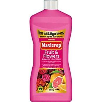 Fruit & Flowers Conc 600ml