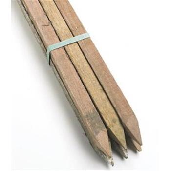 Timber Stake 25x25x1200mm