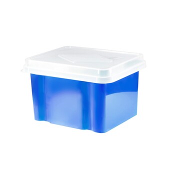 Storage Box Italplast 32L Blueberry