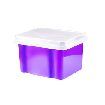 Storage Box Italplast 32L Grape