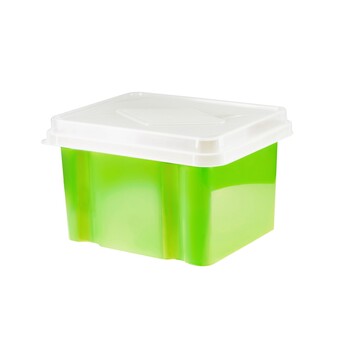 Storage Box Italplast 32L Lime