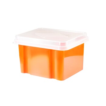 Storage Box Italplast 32L Mandarin