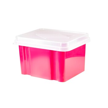 Storage Box Italplast 32L Watermelon