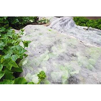 Frost Cloth 0.9m X 20m