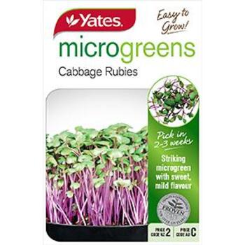 Yates Microgreen Cabbage C Seeds