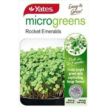 Yates Microgreen Rocket C Seeds