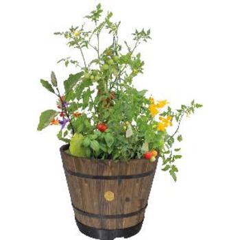 Planter Wooden Barrel Burnt Oak 37cm