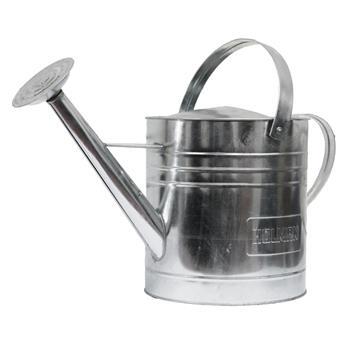 Can Watering 9L Galvanised