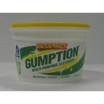 Cleaner Multi Purpose Paste 750g Gumption