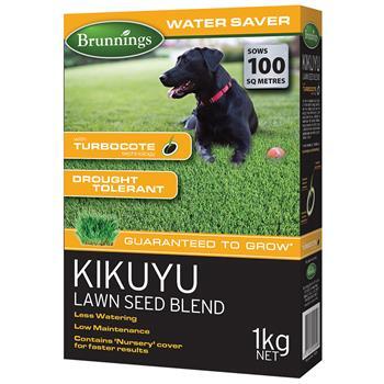 Lawn Seed Kikuyu Blend 1kg