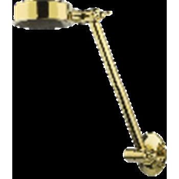 All Directional Shower Gold