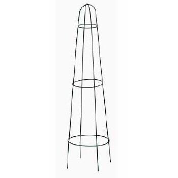 Trainer Plant Cone 75cm