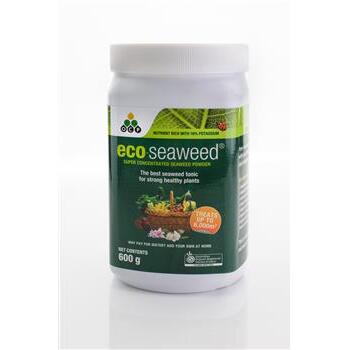 Eco-seaweed 600g